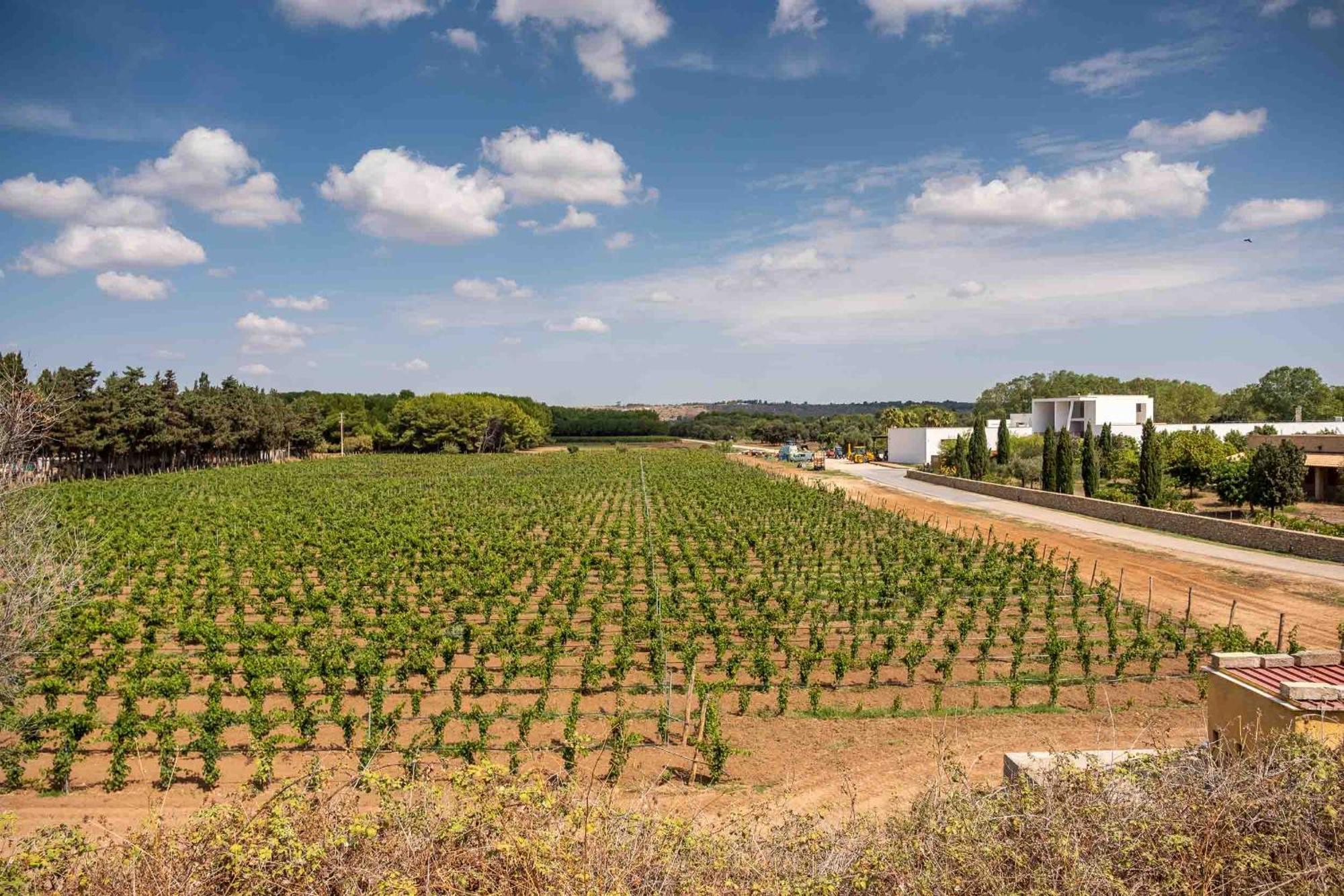 Tenuta Doxi Gallipoli Eksteriør billede